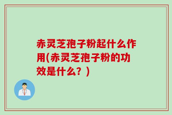 赤灵芝孢子粉起什么作用(赤灵芝孢子粉的功效是什么？)