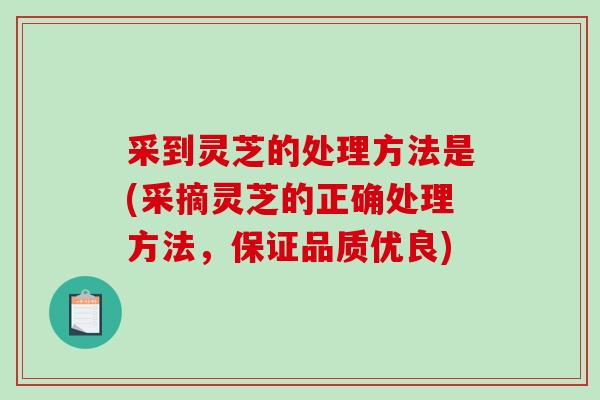 采到灵芝的处理方法是(采摘灵芝的正确处理方法，保证品质优良)