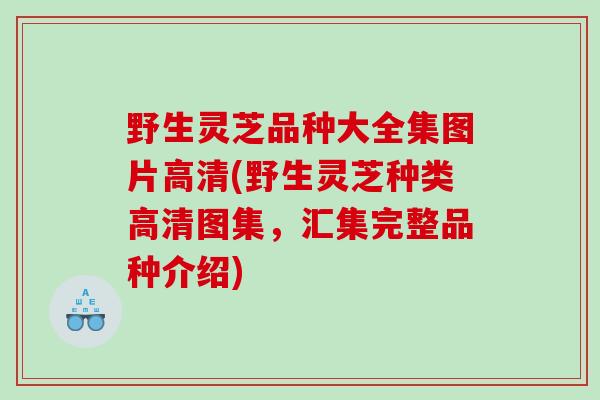 野生灵芝品种大全集图片高清(野生灵芝种类高清图集，汇集完整品种介绍)