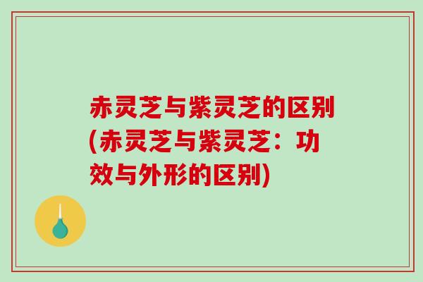 赤灵芝与紫灵芝的区别(赤灵芝与紫灵芝：功效与外形的区别)
