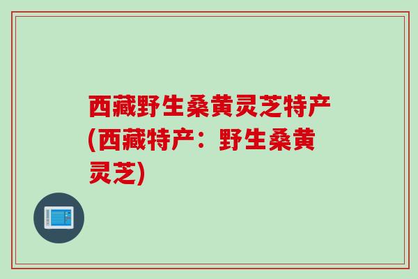 西藏野生桑黄灵芝特产(西藏特产：野生桑黄灵芝)