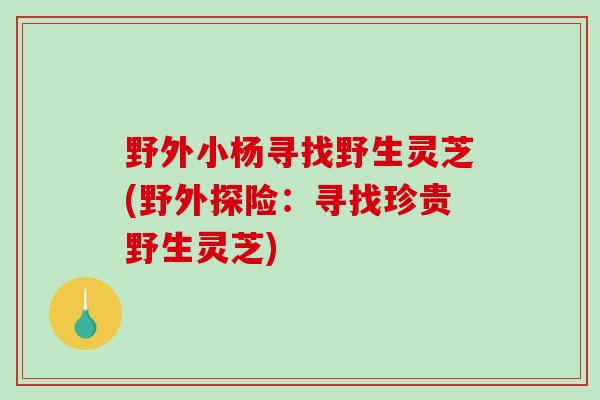 野外小杨寻找野生灵芝(野外探险：寻找珍贵野生灵芝)
