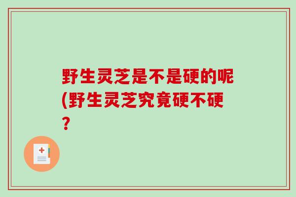 野生灵芝是不是硬的呢(野生灵芝究竟硬不硬？