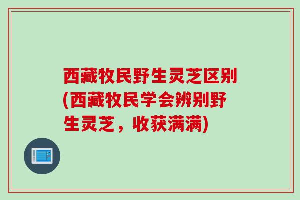 西藏牧民野生灵芝区别(西藏牧民学会辨别野生灵芝，收获满满)