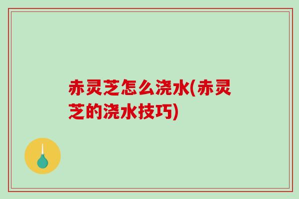 赤灵芝怎么浇水(赤灵芝的浇水技巧)