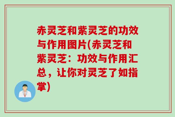 赤灵芝和紫灵芝的功效与作用图片(赤灵芝和紫灵芝：功效与作用汇总，让你对灵芝了如指掌)