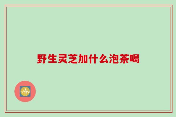 野生灵芝加什么泡茶喝