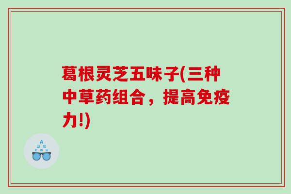 葛根灵芝五味子(三种中草药组合，提高免疫力!)
