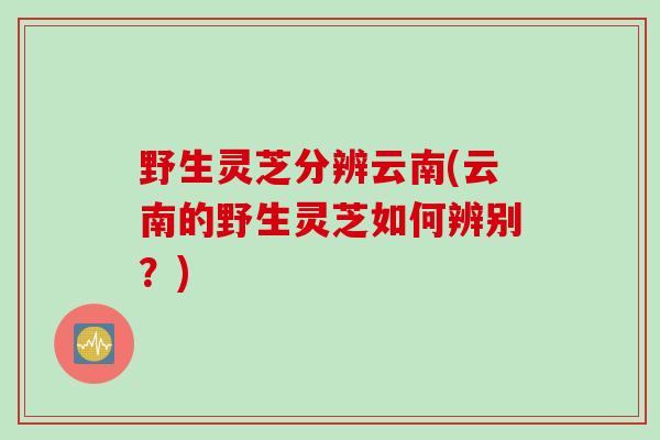 野生灵芝分辨云南(云南的野生灵芝如何辨别？)