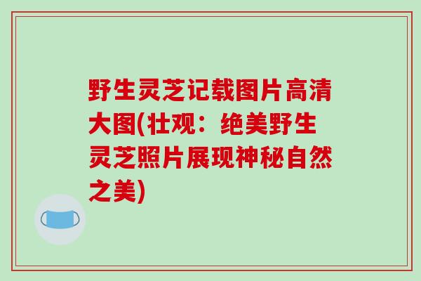 野生灵芝记载图片高清大图(壮观：绝美野生灵芝照片展现神秘自然之美)
