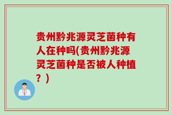 贵州黔兆源灵芝菌种有人在种吗(贵州黔兆源灵芝菌种是否被人种植？)