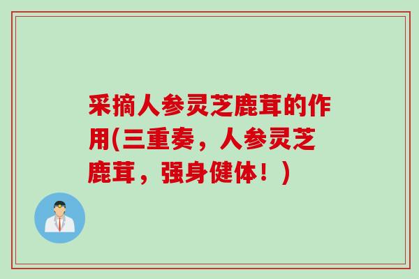 采摘人参灵芝鹿茸的作用(三重奏，人参灵芝鹿茸，强身健体！)