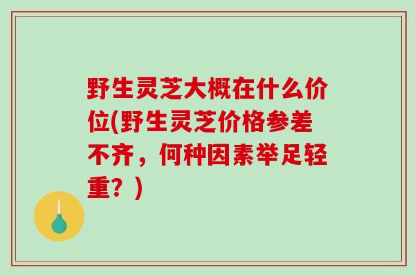 野生灵芝大概在什么价位(野生灵芝价格参差不齐,何种因素举足轻重?) 野生灵芝大概在什么价位(野生灵芝价格参差不齐,何种因素举足轻重?)