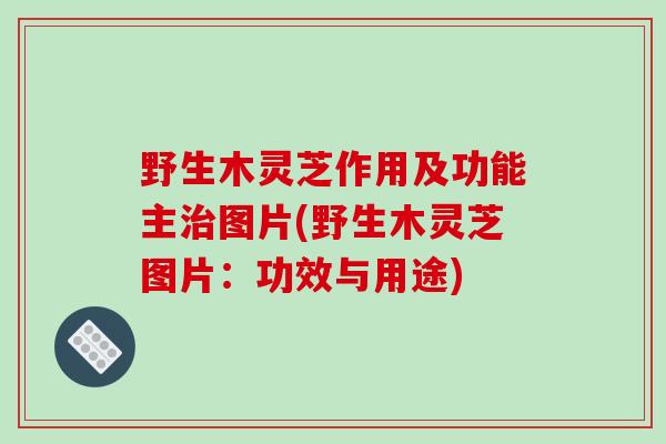 野生木灵芝作用及功能主治图片(野生木灵芝图片：功效与用途)