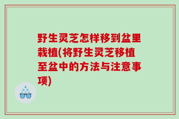 野生灵芝怎样移到盆里栽植(将野生灵芝移植至盆中的方法与注意事项)