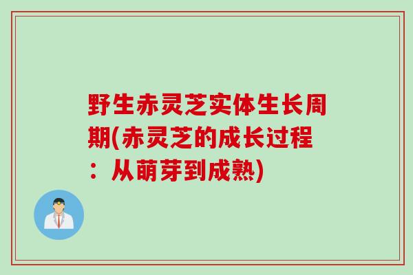 野生赤灵芝实体生长周期(赤灵芝的成长过程：从萌芽到成熟)