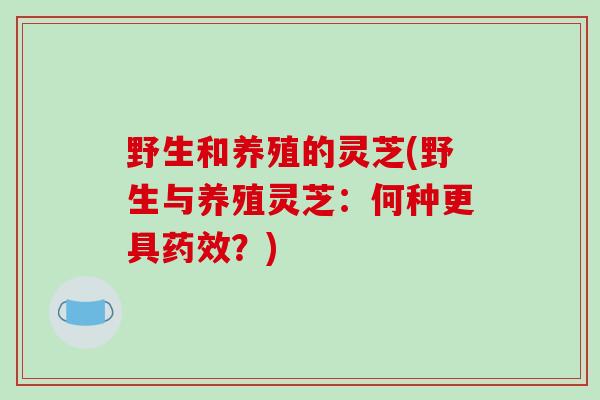 野生和养殖的灵芝(野生与养殖灵芝：何种更具药效？)