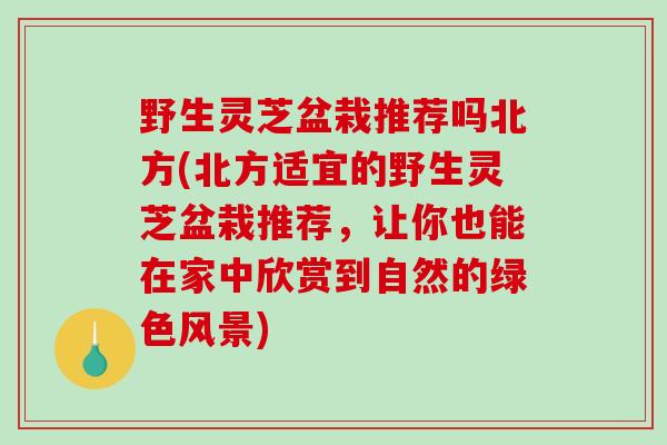野生灵芝盆栽推荐吗北方(北方适宜的野生灵芝盆栽推荐，让你也能在家中欣赏到自然的绿色风景)