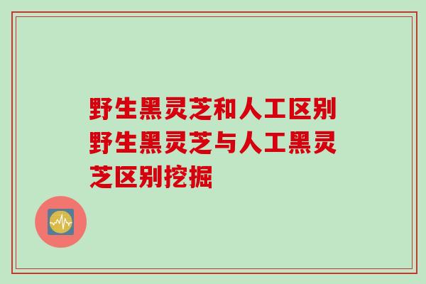 野生黑灵芝和人工区别野生黑灵芝与人工黑灵芝区别挖掘