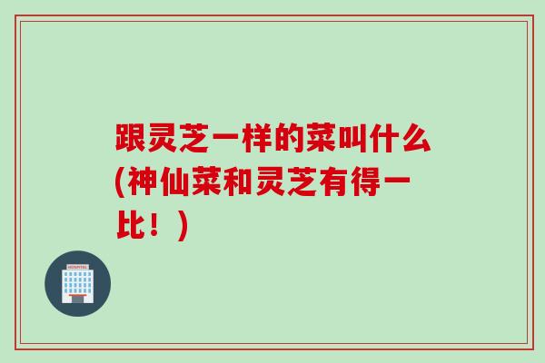 跟灵芝一样的菜叫什么(神仙菜和灵芝有得一比！)