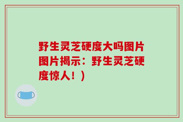 野生灵芝硬度大吗图片图片揭示：野生灵芝硬度惊人！)