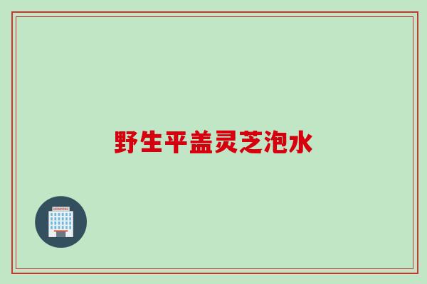 野生平盖灵芝泡水