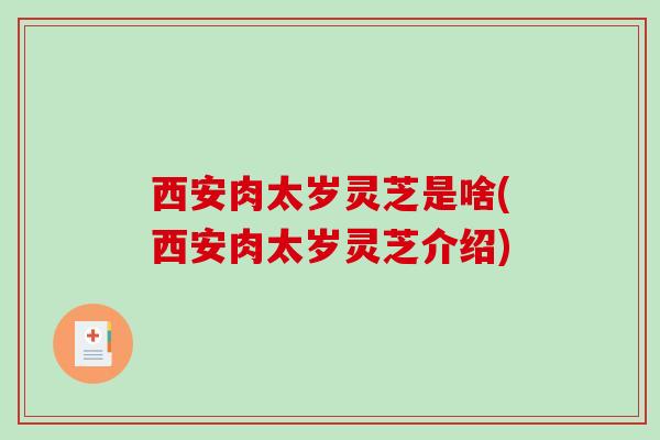 西安肉太岁灵芝是啥(西安肉太岁灵芝介绍)