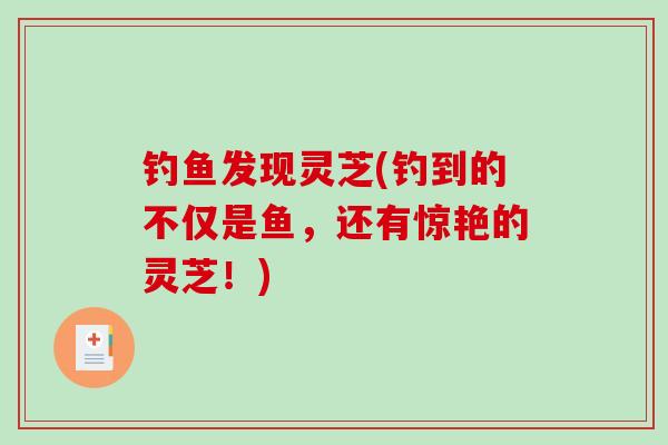 钓鱼发现灵芝(钓到的不仅是鱼，还有惊艳的灵芝！)
