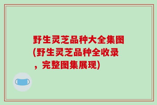 野生灵芝品种大全集图(野生灵芝品种全收录，完整图集展现)