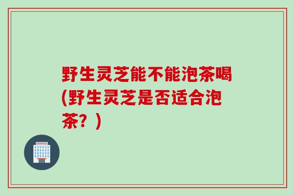 野生灵芝能不能泡茶喝(野生灵芝是否适合泡茶？)