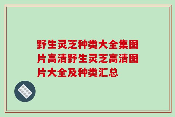 野生灵芝种类大全集图片高清野生灵芝高清图片大全及种类汇总