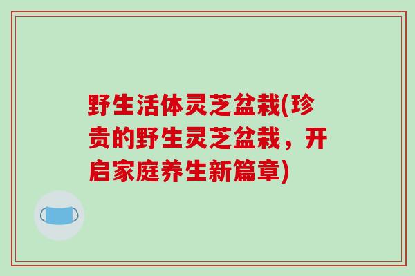 野生活体灵芝盆栽(珍贵的野生灵芝盆栽，开启家庭养生新篇章)