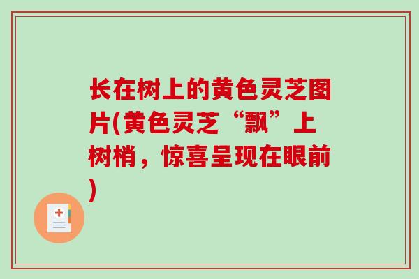 长在树上的黄色灵芝图片(黄色灵芝“飘”上树梢，惊喜呈现在眼前)