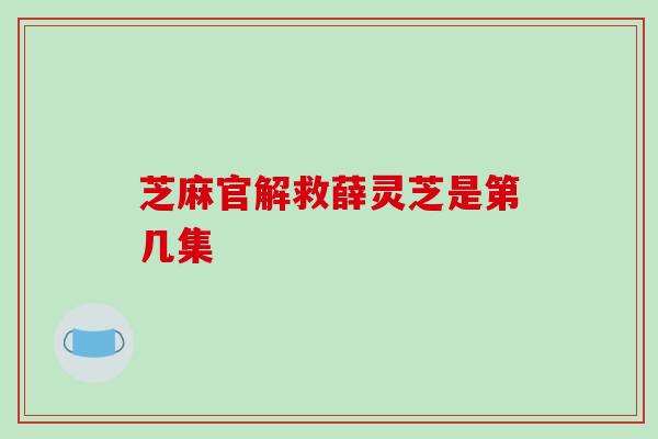芝麻官解救薛灵芝是第几集