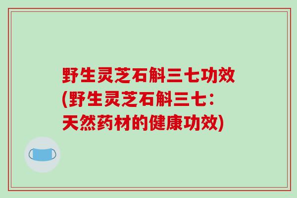 野生灵芝石斛三七功效(野生灵芝石斛三七：天然药材的健康功效)