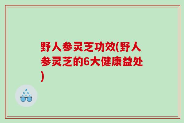 野人参灵芝功效(野人参灵芝的6大健康益处)