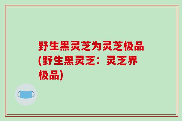 野生黑灵芝为灵芝极品(野生黑灵芝：灵芝界极品)