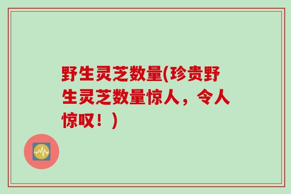 野生灵芝数量(珍贵野生灵芝数量惊人，令人惊叹！)