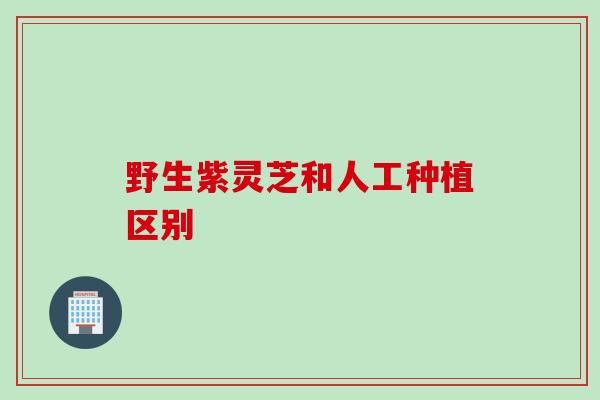 野生紫灵芝和人工种植区别