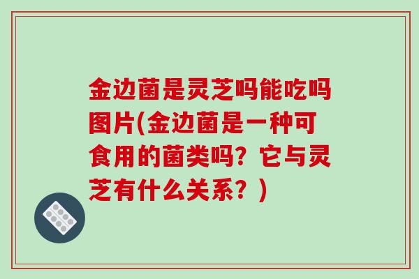 金边菌是灵芝吗能吃吗图片(金边菌是一种可食用的菌类吗？它与灵芝有什么关系？)