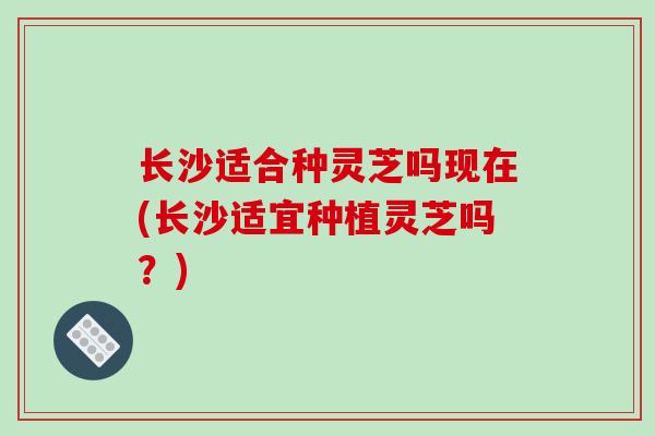 长沙适合种灵芝吗现在(长沙适宜种植灵芝吗？)