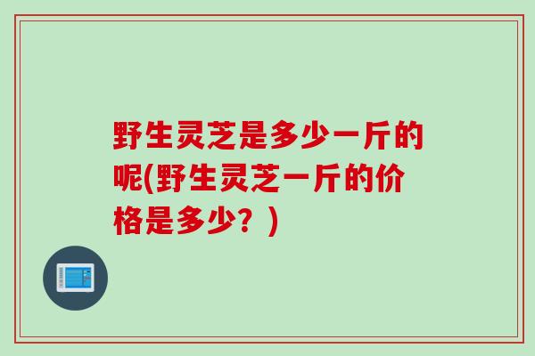野生灵芝是多少一斤的呢(野生灵芝一斤的价格是多少？)