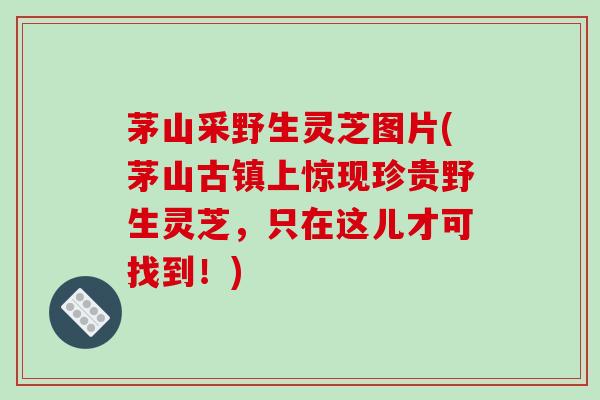 茅山采野生灵芝图片(茅山古镇上惊现珍贵野生灵芝，只在这儿才可找到！)