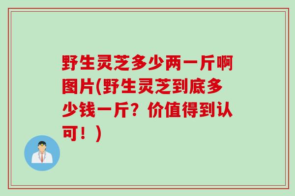 野生灵芝多少两一斤啊图片(野生灵芝到底多少钱一斤？价值得到认可！)