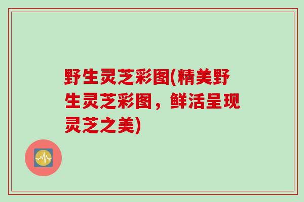 野生灵芝彩图(精美野生灵芝彩图，鲜活呈现灵芝之美)