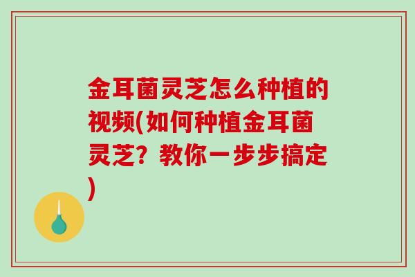 金耳菌灵芝怎么种植的视频(如何种植金耳菌灵芝？教你一步步搞定)