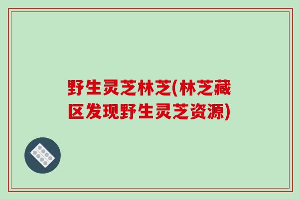 野生灵芝林芝(林芝藏区发现野生灵芝资源)