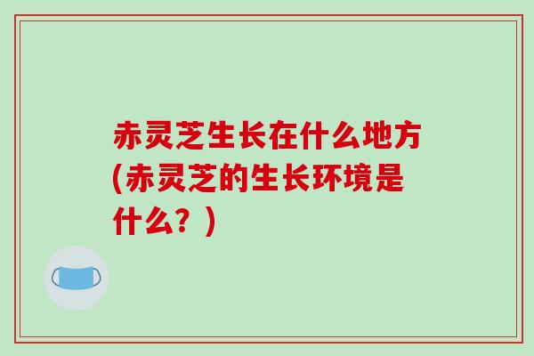 赤灵芝生长在什么地方(赤灵芝的生长环境是什么？)