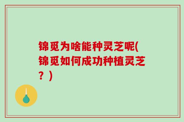 锦觅为啥能种灵芝呢(锦觅如何成功种植灵芝？)