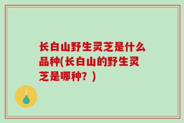 长白山野生灵芝是什么品种(长白山的野生灵芝是哪种？)